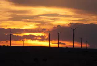 Prairie wind farm at sunset