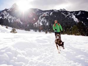 Plan Snowy Playtime with Your Pup in Colorado This Winter