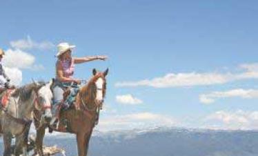 Colorado Dude & Guest Ranch horses Colorado Dude & Guest Ranch horses