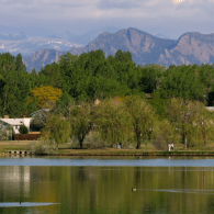 Arvada